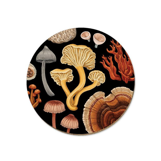 Wolfkamp & Stone NZ Fungi Coaster Bolete mushrooms