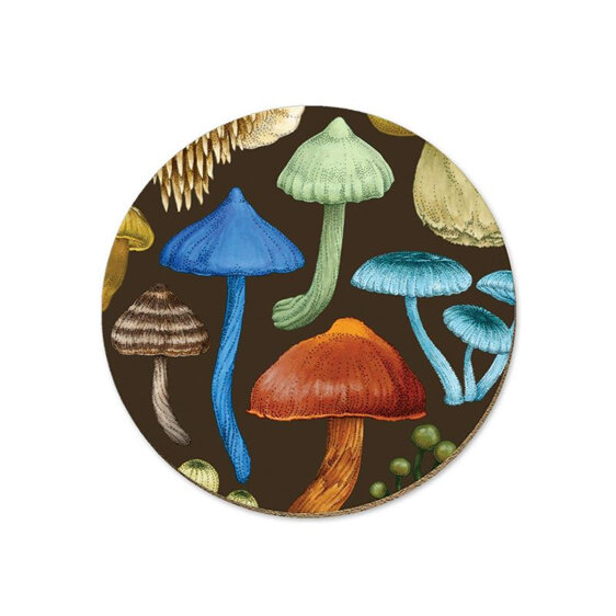Wolfkamp & Stone NZ Fungi Coaster Entoloma mushrooms