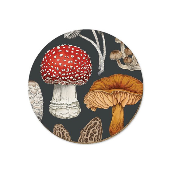 Wolfkamp & Stone NZ Fungi Coaster Morchella mushrooms