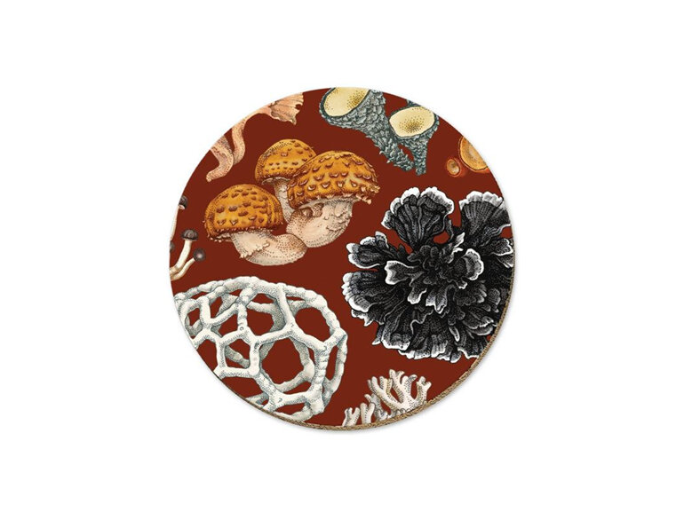 Wolfkamp & Stone NZ Fungi Coaster Phellodon mushrooms home