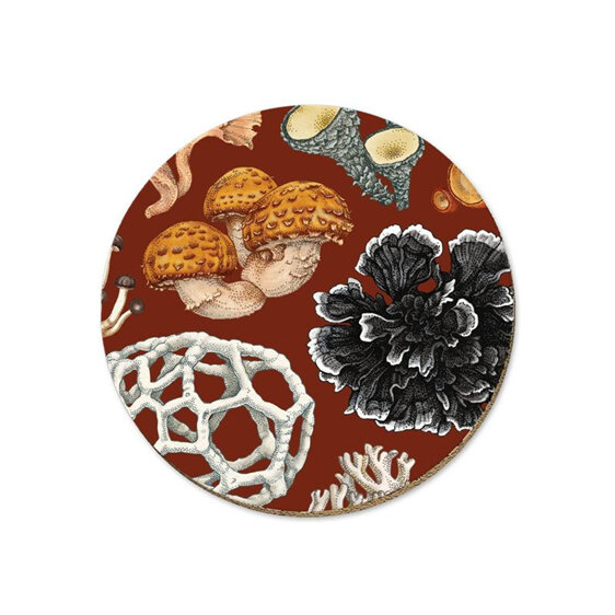 Wolfkamp & Stone NZ Fungi Coaster Phellodon mushrooms home