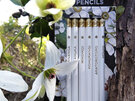 Wolfkamp & Stone - White NZ Flowers 6 Pencils