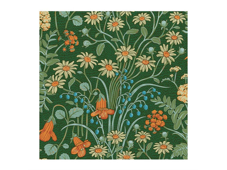 Wolfkamp & Stone - Winding Stems Card floral botanical