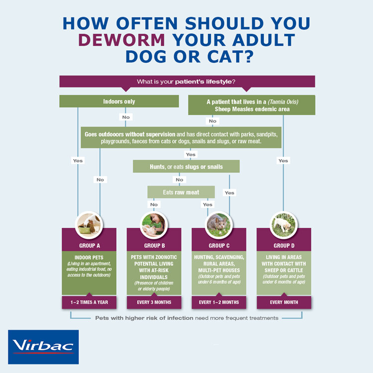 Worming flow chart