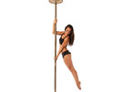 XPERT (NX) Pole Set - 45mm Brass