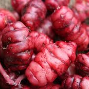 Yams Red Approx 500g