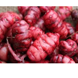 Yams Red Approx 500g