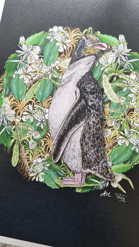 Yellow- eyed Penguin  Art Prints