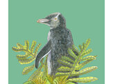 Yellow- eyed penguin + Rata Colourway