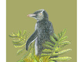 Yellow- eyed penguin + Rata Colourway