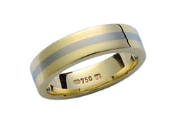 Yellow Gold Ring with Titanium Inlay