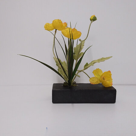 Yellow Poppies in Slate 2385