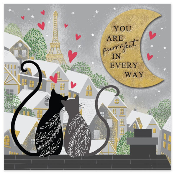 You are Purrr-fect Cats & Hearts Valentine's Day Card