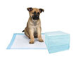 Yours Droolly - Puppy Pads