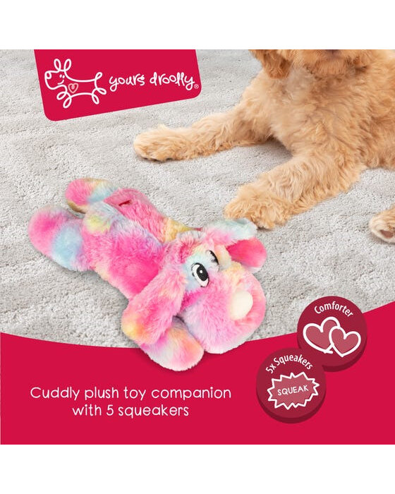 Yours Droolly - Rainbow Dog - Top Dog Direct.Co.NZ