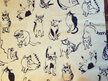 Yuki - Cat Sketch